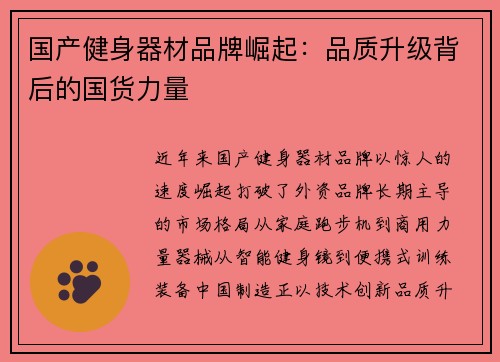 国产健身器材品牌崛起：品质升级背后的国货力量